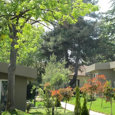 Sekerkamp * Tekirdag
